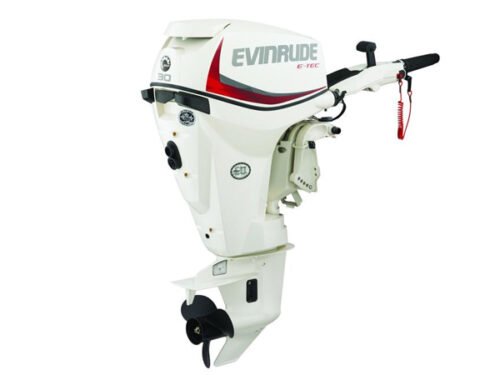 2018 Evinrude E-TEC 30 HP E30DTSL Outboard Motor - Image 1