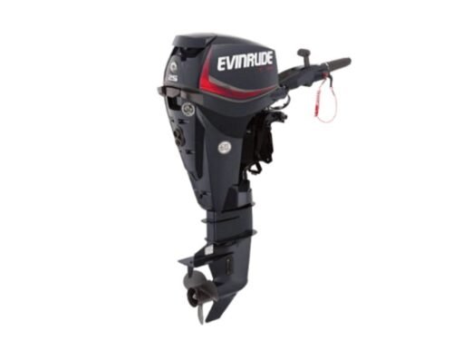 Evinrude E25DTSL E-TEC Outboard Motor - Image 1