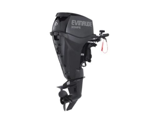 Evinrude E30MRL 30 HP Outboard Motor - Image 1