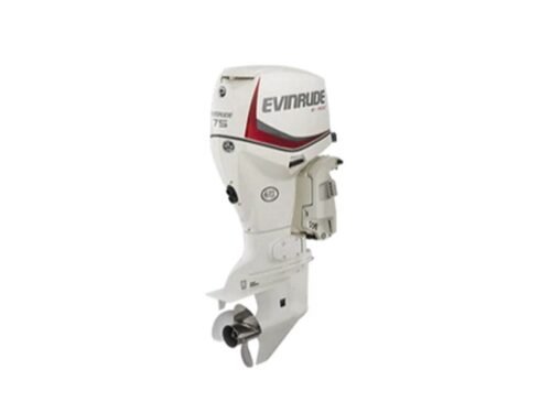 Evinrude E75DSL E-TEC Outboard Motor - Image 1