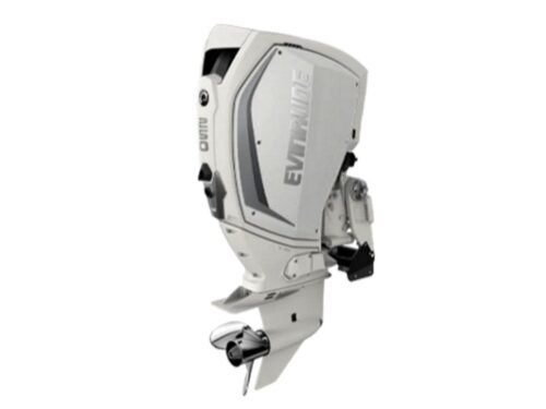 Evinrude H250WXF 250 HP Outboard Motor - Image 1